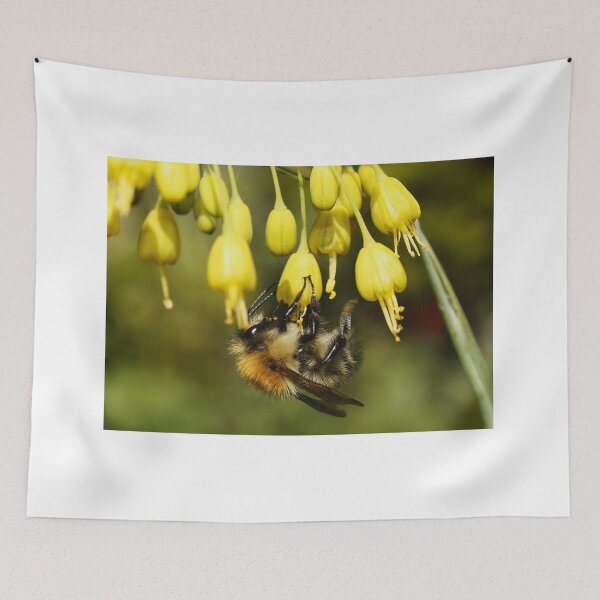 Item preview, Bee on Allium (Fireworks) designed and sold by AnnDixon.