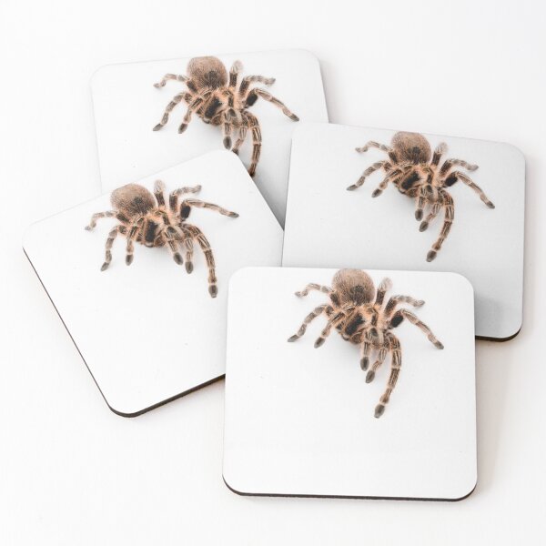 Item preview, A Honduran Curly Hair Tarantula designed and sold by Ben Gingell.