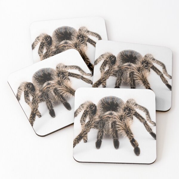 Item preview, A Honduran Curly Hair Tarantula  designed and sold by Ben Gingell.