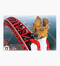 ruh ROH Photographic Print