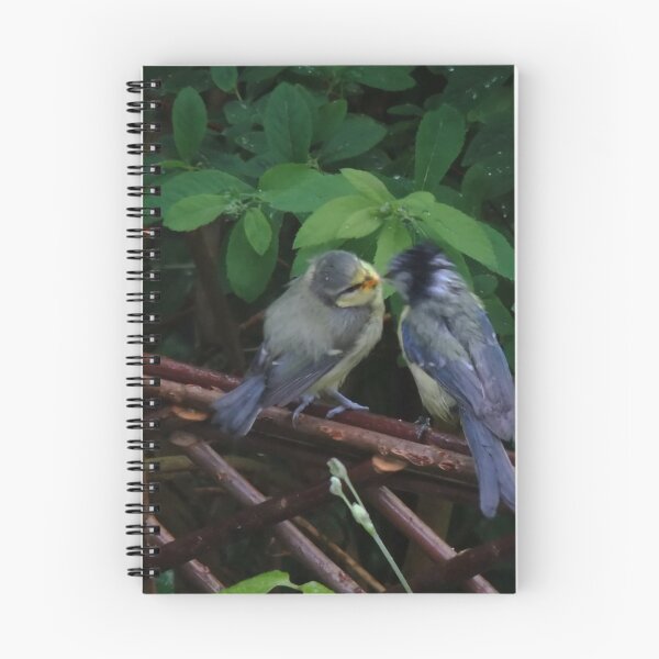 Item preview, Mom and Baby BlueTit designed and sold by AnnDixon.