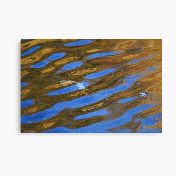Shallow Canvas Print
