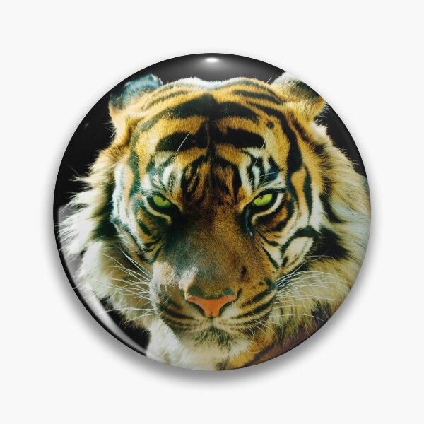Item preview, Tiger stare designed and sold by strmberg.