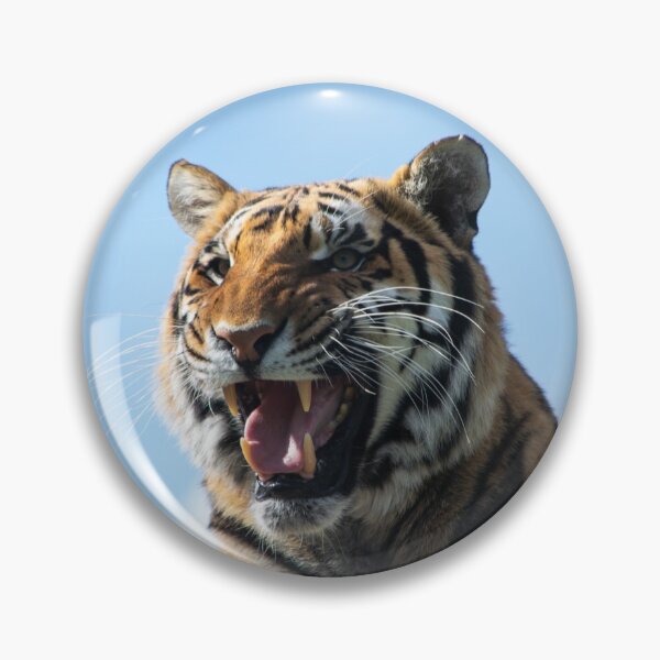 Item preview, Snarling Tiger designed and sold by LauraKCaldPhoto.