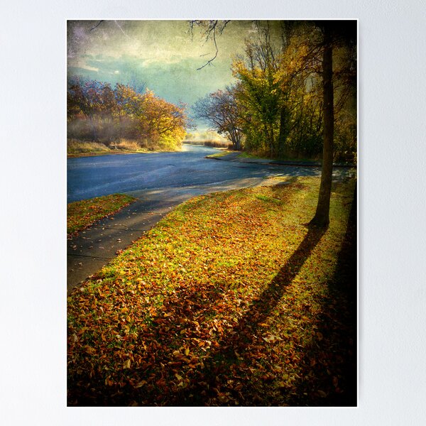 Item preview, Fall morning  designed and sold by Nick  Kenrick Photography.