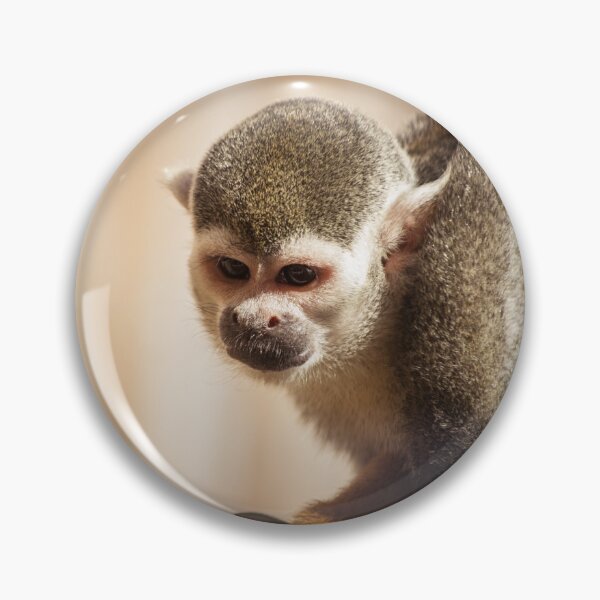 Item preview, Squirrel Monkey designed and sold by LauraKCaldPhoto.