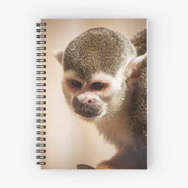 Item preview, Squirrel Monkey designed and sold by LauraKCaldPhoto.