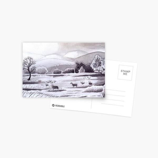 Countryside Charming Sheep in Ibiza Postcard