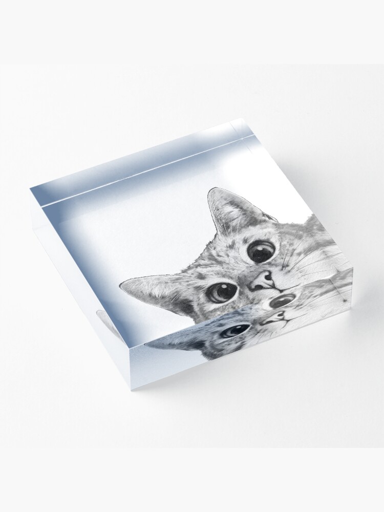 Alternate view of sneaky cat Acrylic Block
