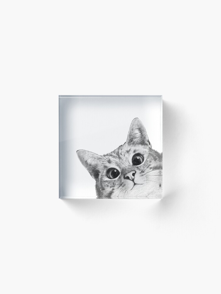 Alternate view of sneaky cat Acrylic Block