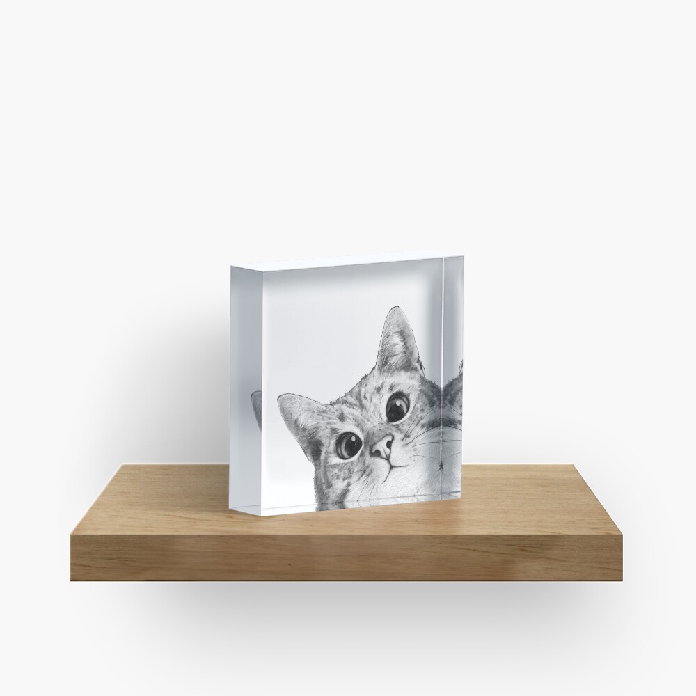 sneaky cat Acrylic Block