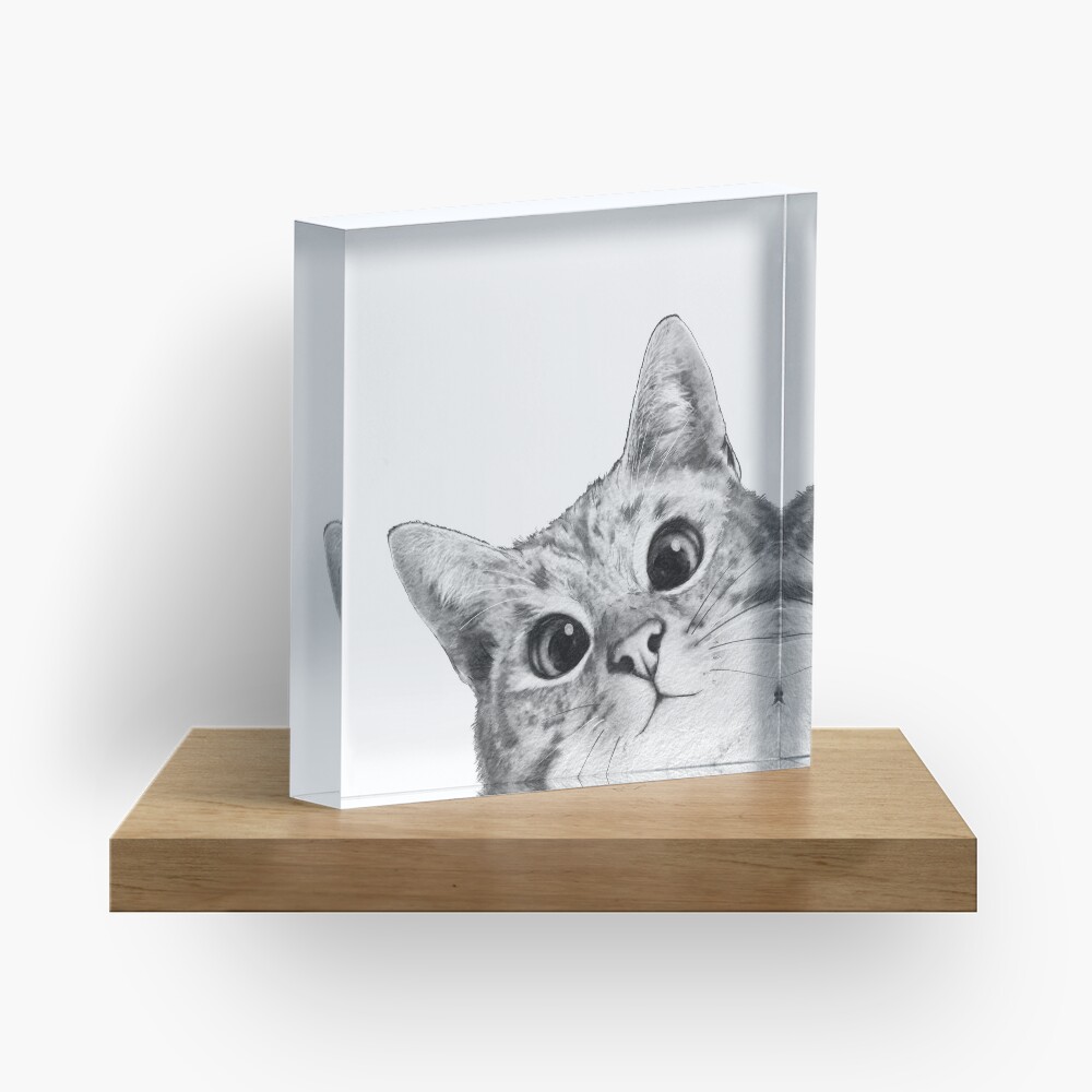 sneaky cat Acrylic Block