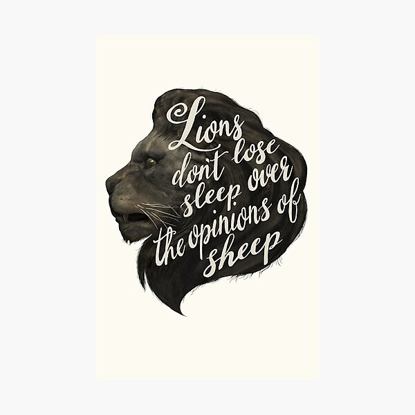 Lions don't lose sleep over the opinions of sheep Photographic Print