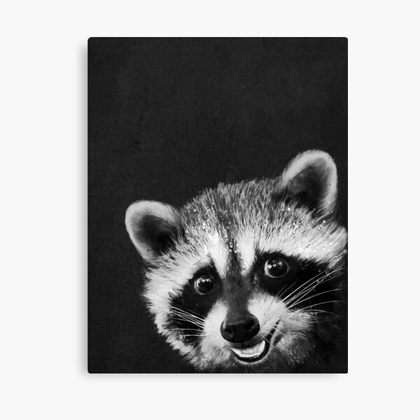 Raccoon Canvas Print