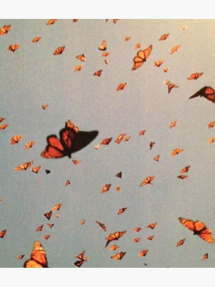 "Butterfly aesthetic " Poster for Sale by jennibxx Redbubble