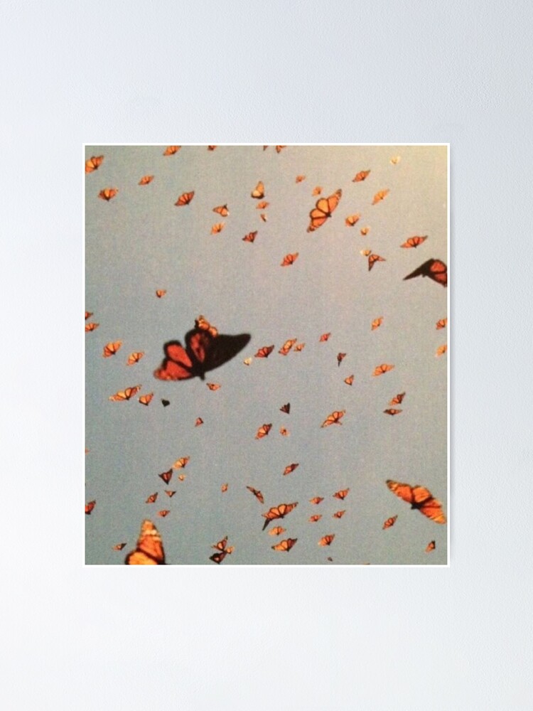 "Butterfly aesthetic " Poster for Sale by jennibxx Redbubble
