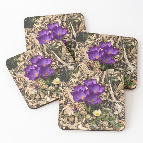 Item preview, Spring flowers  designed and sold by Danika-Alice.