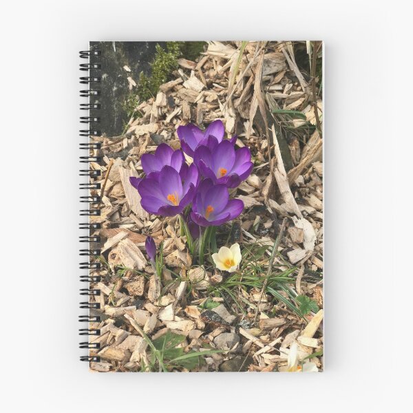 Item preview, Spring flowers  designed and sold by Danika-Alice.