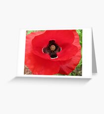 Eleventh of the Eleventh Greeting Card