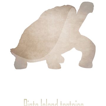 Artwork thumbnail, Pinta Island tortoise - Endangered and extinct species (dark background) by Moira Risen
