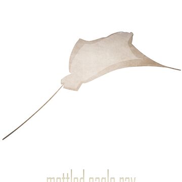 Artwork thumbnail, Mottled eagle ray - Endangered and extinct species (dark background) by Moira Risen