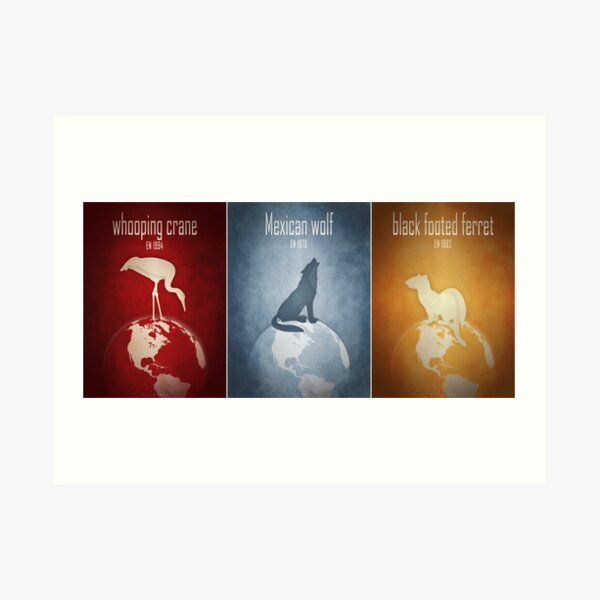 Endangered animals of America Art Print