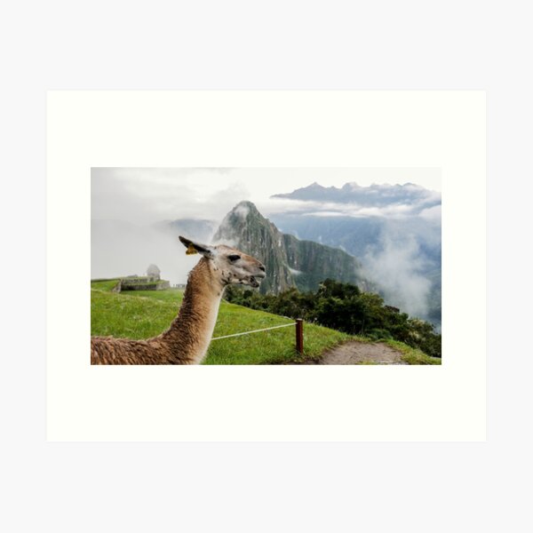 Début du journée au Machu Picchu Impression artistique