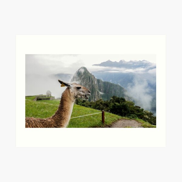 Début du journée au Machu Picchu Impression artistique