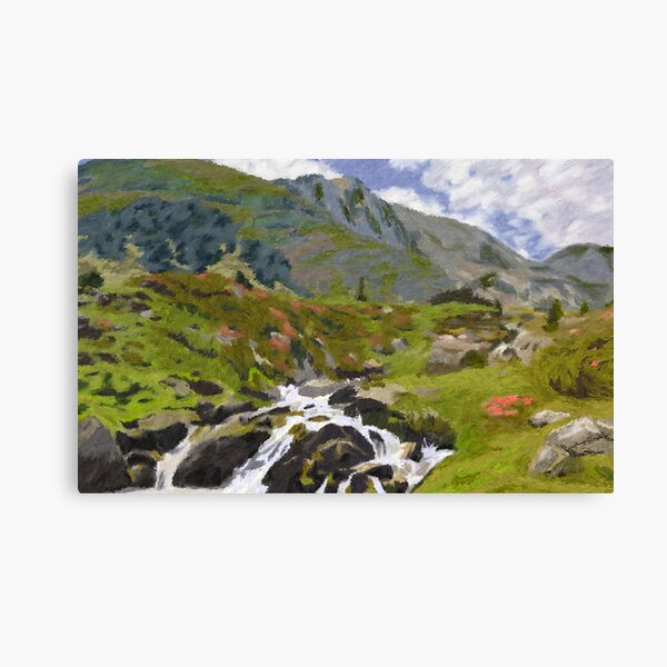 The Pyrenees Canvas Print