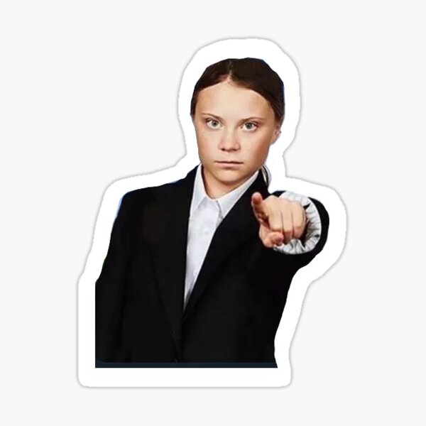 STICKER GRETA THUNBERG vignette CritAir EUR 4,90 - PicClick FR