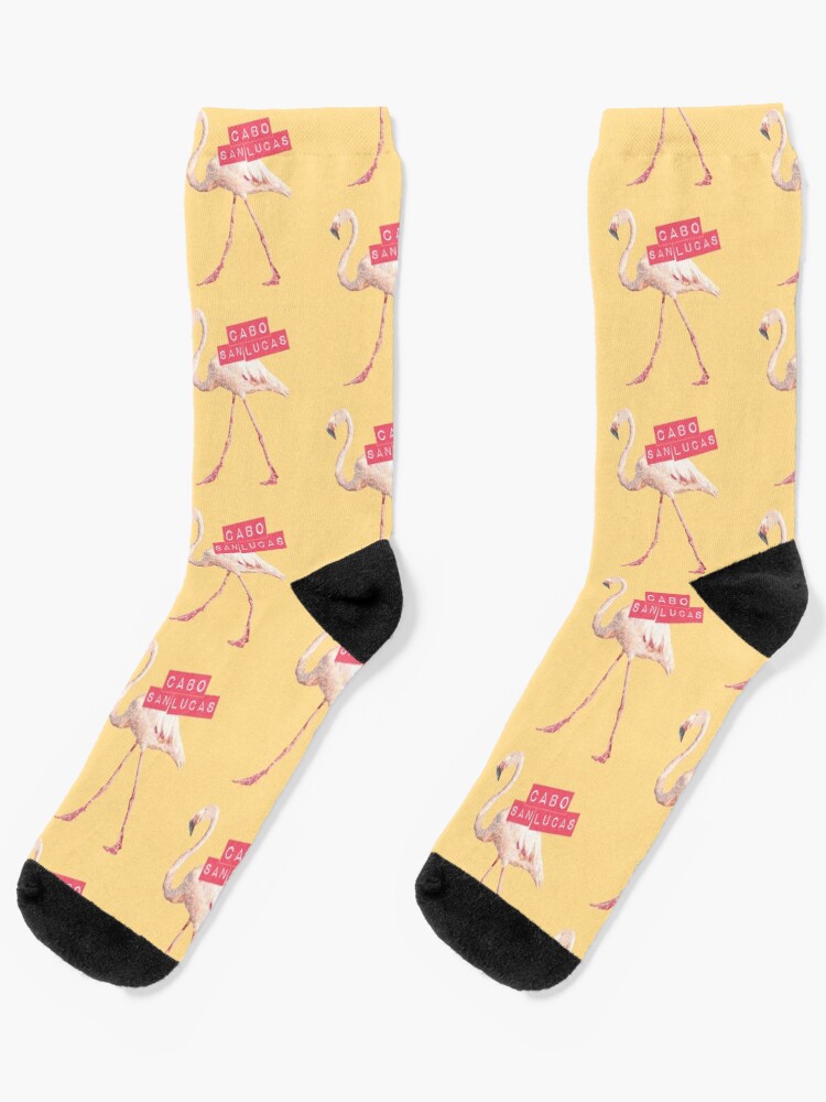 Cabo San Lucas Flamingo Mexico Vintage Travel