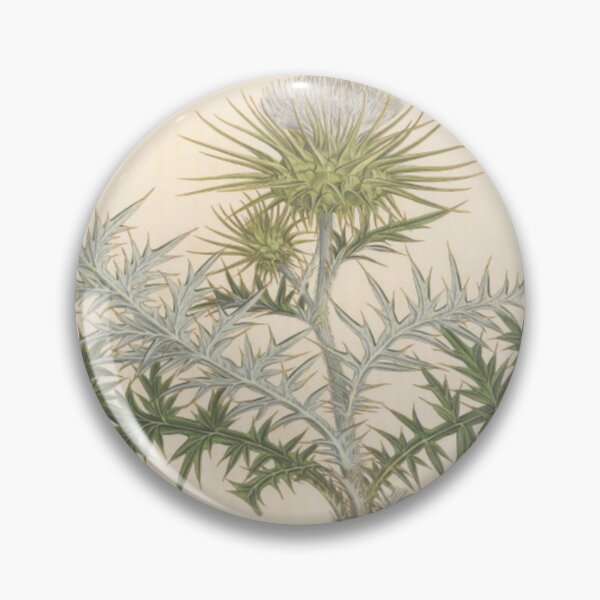 Item preview, Naturalist Thistle designed and sold by BlueSpecsStudio.