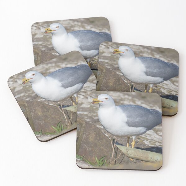 Item preview, Yellow Legged Gull designed and sold by LaurenTucker.