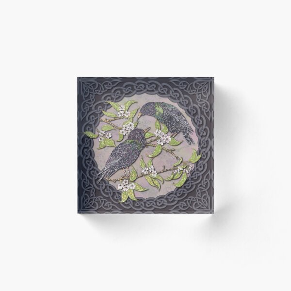 Celtic Starlings Acrylic Block