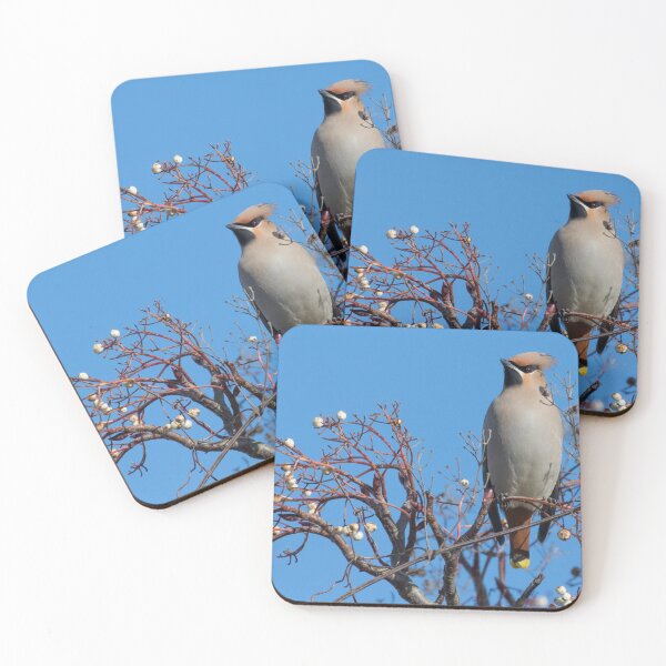 Item preview, Waxwing designed and sold by LaurenTucker.