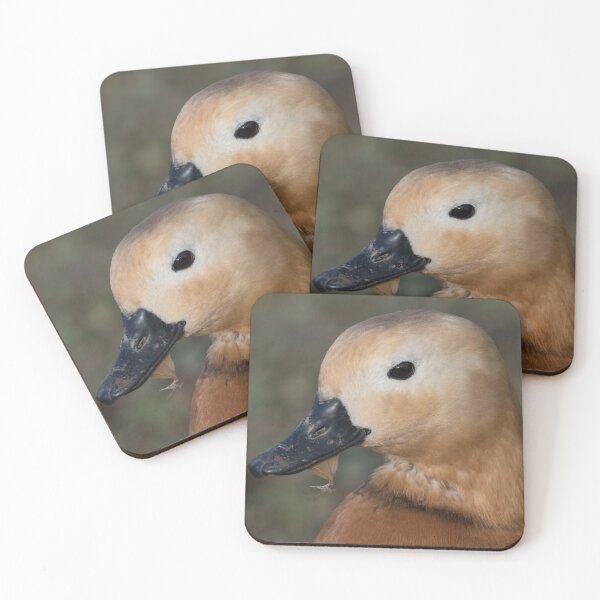 Item preview, Ruddy Shelduck designed and sold by LaurenTucker.