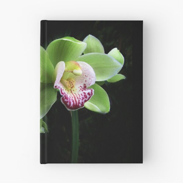 Item preview, Cymbidium Orchid Duet designed and sold by Jessica Jenney.