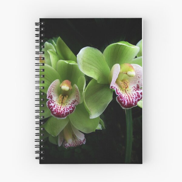 Item preview, Cymbidium Orchid Duet designed and sold by Jessica Jenney.