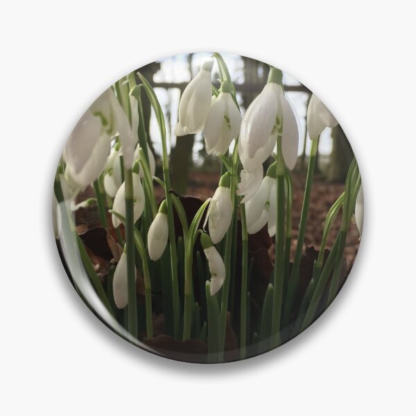 Item preview, Snowdrops designed and sold by Kirkman Photography.