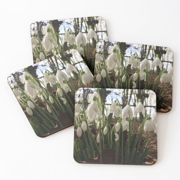Item preview, Snowdrops designed and sold by Kirkman Photography.