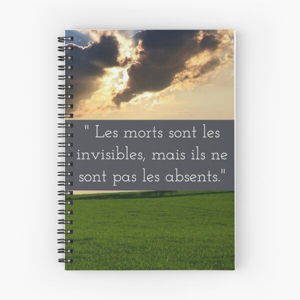 Aperçu de l'œuvre Hommage : Les morts ne sont pas absents  créée et vendue par PrimitiveState.