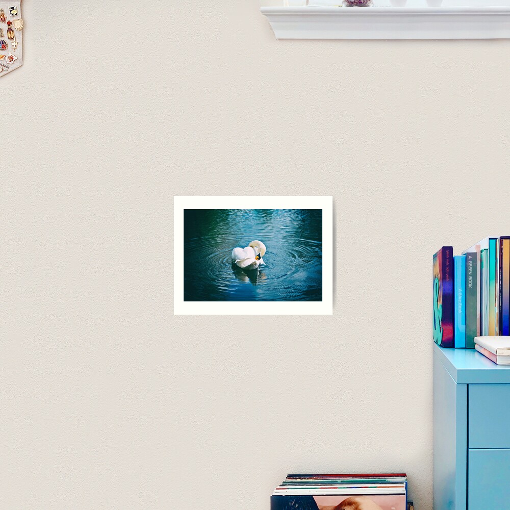 Lone Swan - 28/04/15 Art Print