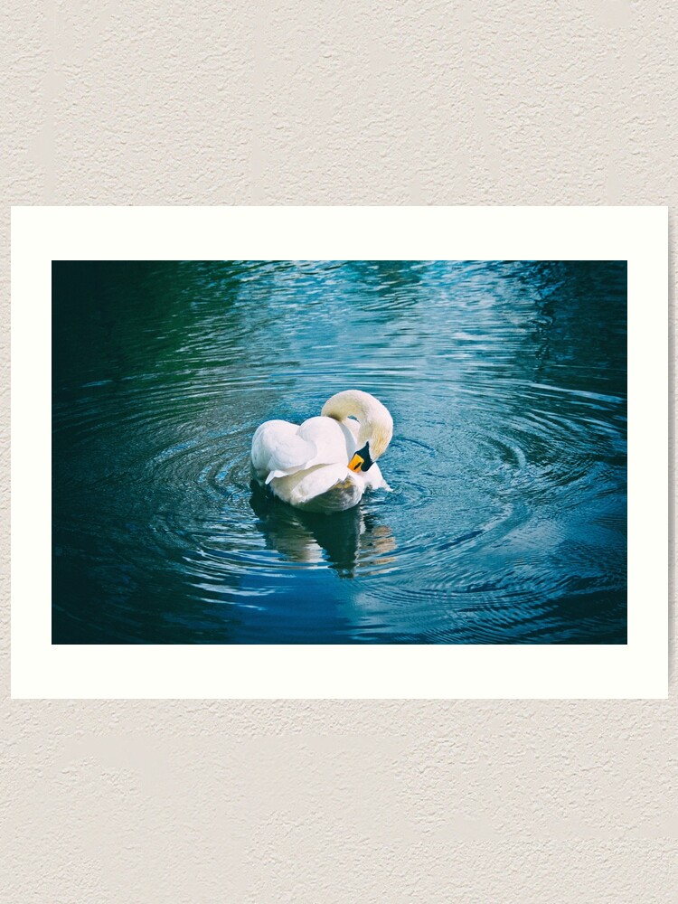 Alternate view of Lone Swan - 28/04/15 Art Print