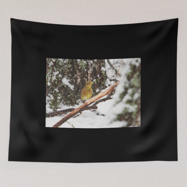 Item preview, Yellowhammer on snow designed and sold by Jouko Lehto Photography.