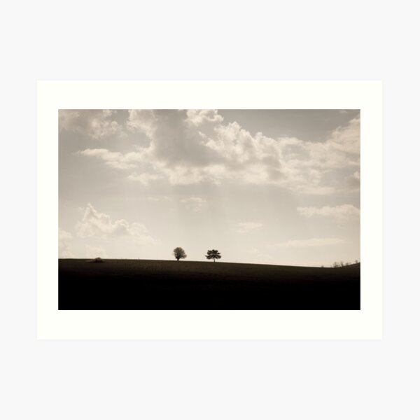 Trees on a hill Art Print