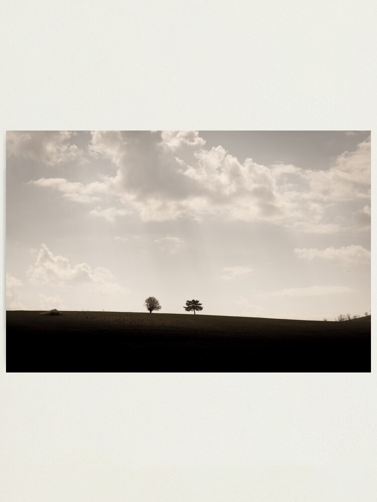 Alternate view of Trees on a hill Photographic Print