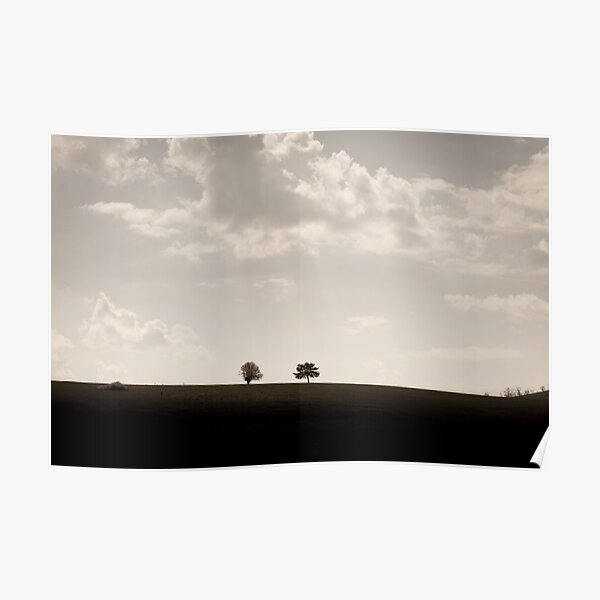 Trees on a hill Poster