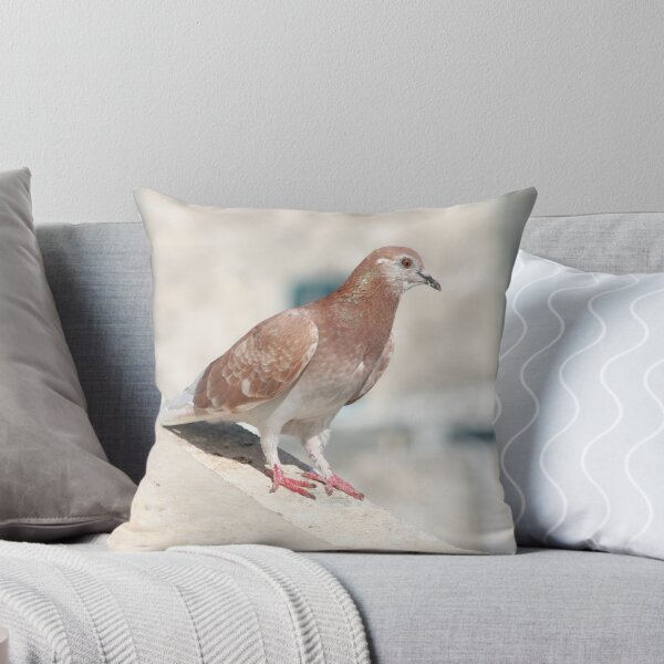 Aperçu de l'œuvre Jerusalem Pigeon créée et vendue par Bilby.