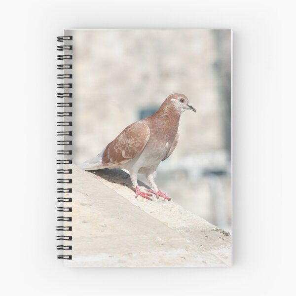 Item preview, Jerusalem Pigeon designed and sold by Bilby.