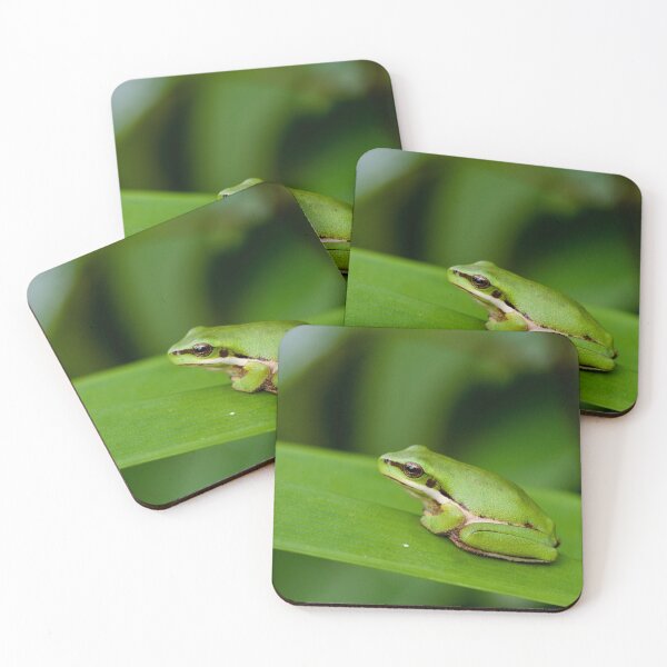 Item preview, Super tiny, Eastern Dwarf Tree Frog  designed and sold by BackyardZoology.